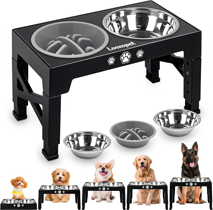 Top 10 Melhores Comedouros para Cachorro em 2026 (Automáticos e mais) 1