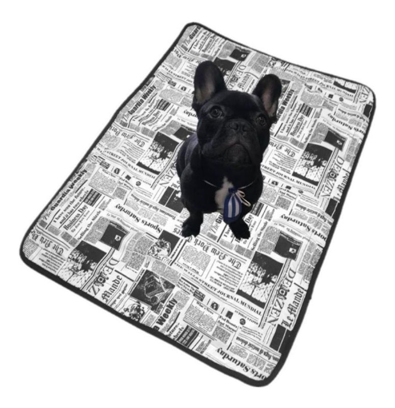 Tapete Higiênico Lavável Pet Wash News Jornal 2