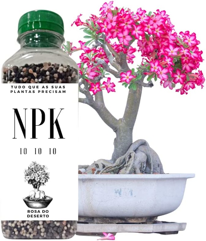 Fertilizante Adubo para Rosa do Deserto 1