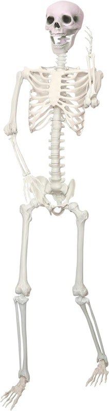 Esqueleto Gigante Articulado 1