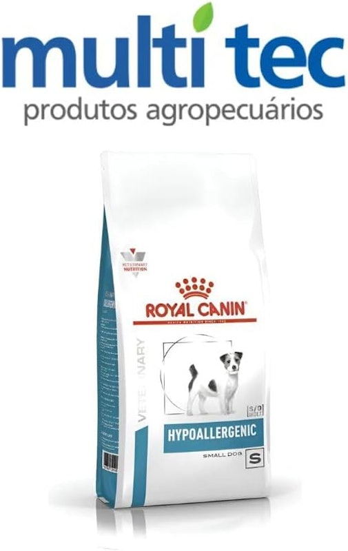 Hypoallergenic Small Dog 2
