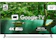 PHILIPS Google TV 4K UHD LED 1