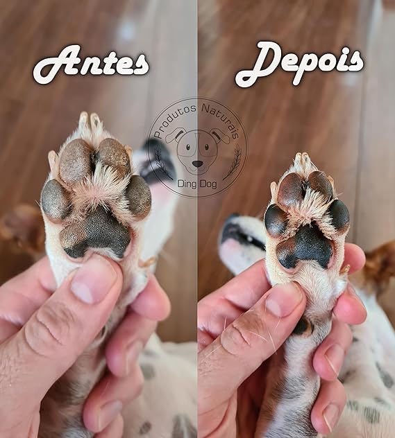 Hidratante de Focinho Patinhas e Calos Ding Dog 20 g 4