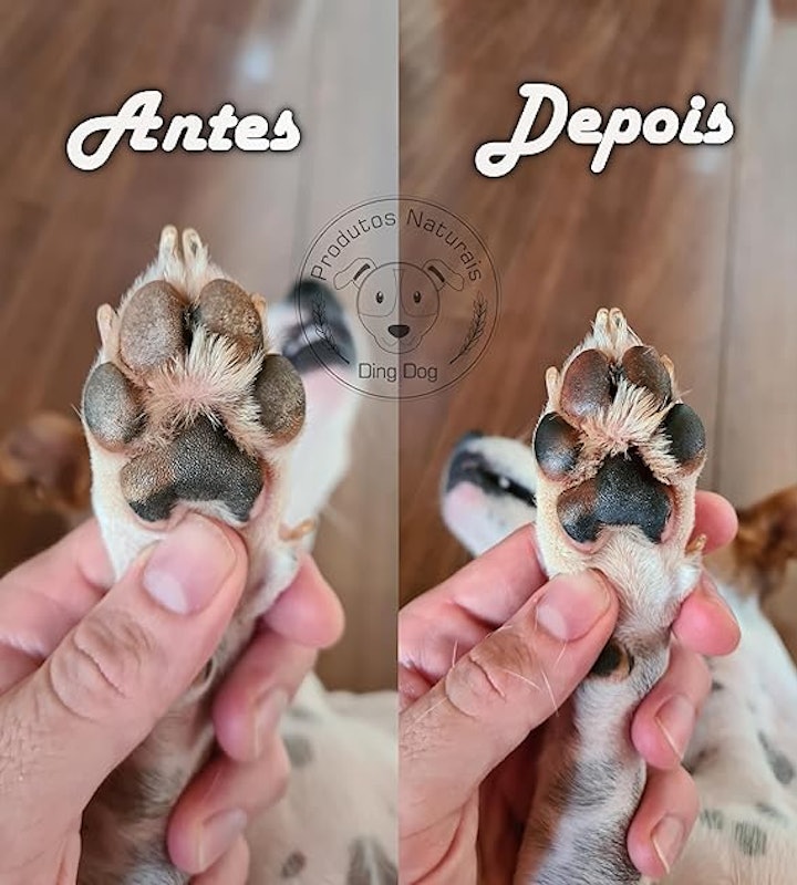 Hidratante de Focinho Patinhas e Calos Ding Dog 20 g 4