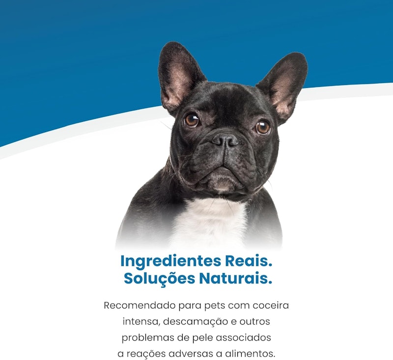 Hypoallergenic Mini Canine 4