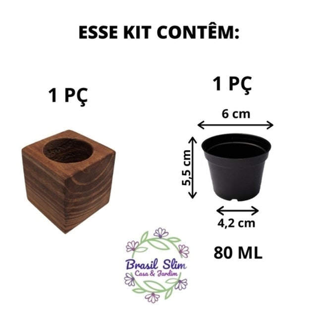 Vaso Rústico para Suculentas em Madeira 4
