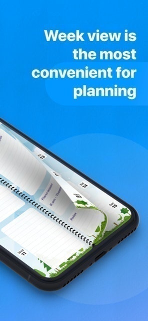 Diário, Organizador, Calendário 5