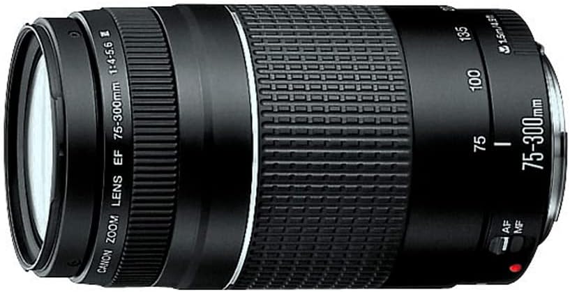 Lente Canon EF 75-300 mm f/4-5.6 III 4