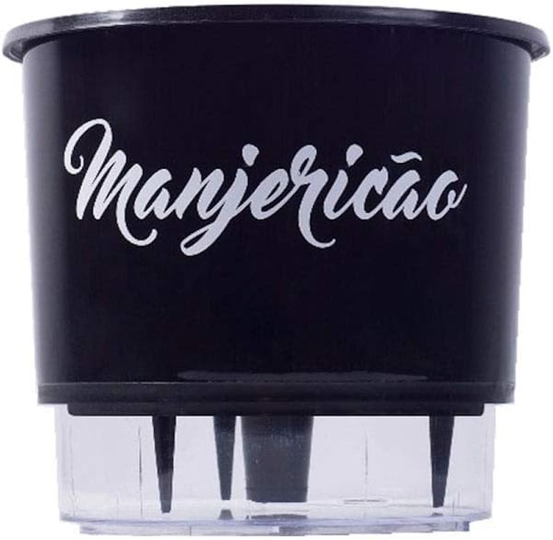 Vaso Autoirrigável 03 Médio 16 x 14 cm - Gourmet Manjericão 2