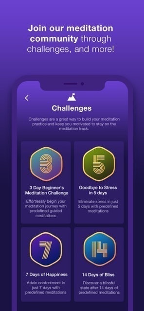 Sattva 4