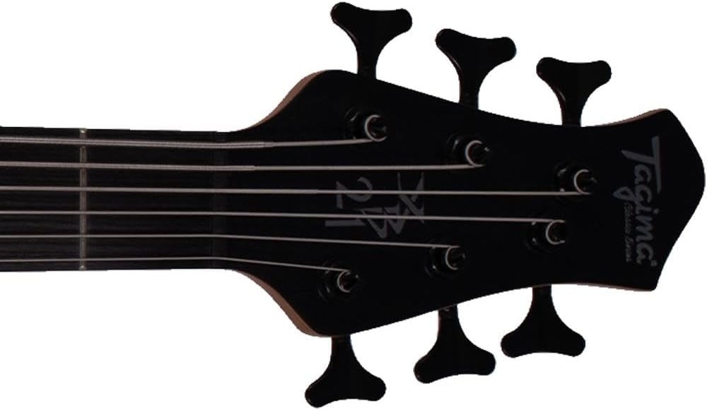 Contrabaixo Passivo 6 Cordas XB-21 3
