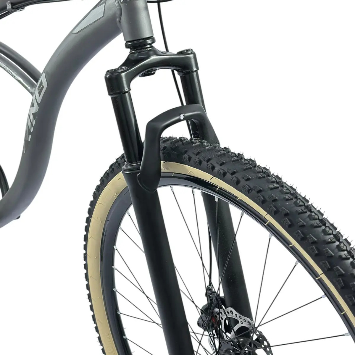 Bike Beach Aro 29 Rino 3