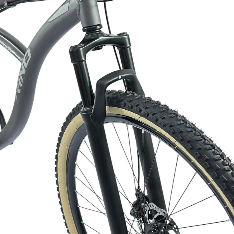 Bike Beach Aro 29 Rino 3