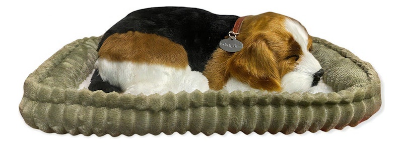 Pelúcia Perfect Petzzz - Beagle 3