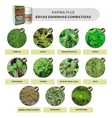 Kapina Plus 2