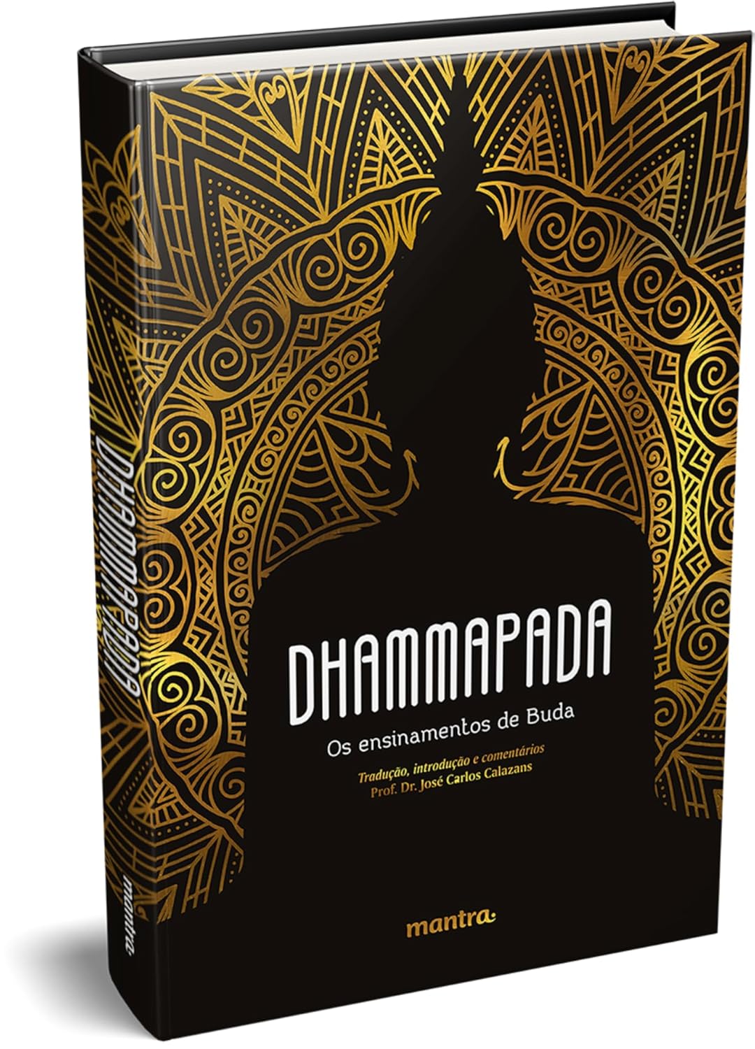 Dhammapada: Os Ensinamentos de Buda 3