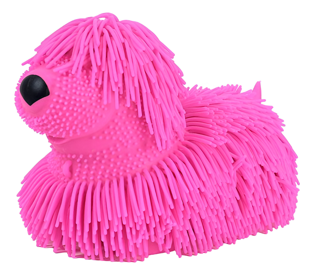 Mania Flofys Doguinho 1