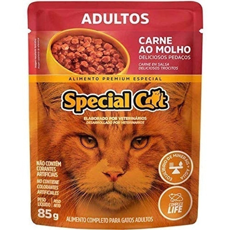 Special Cat 4