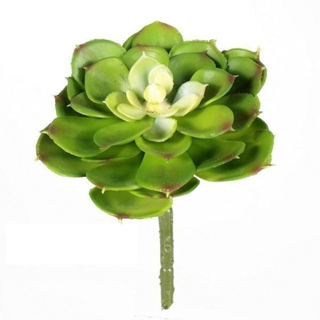 Suculenta Artificial Echeveria Melyana 1