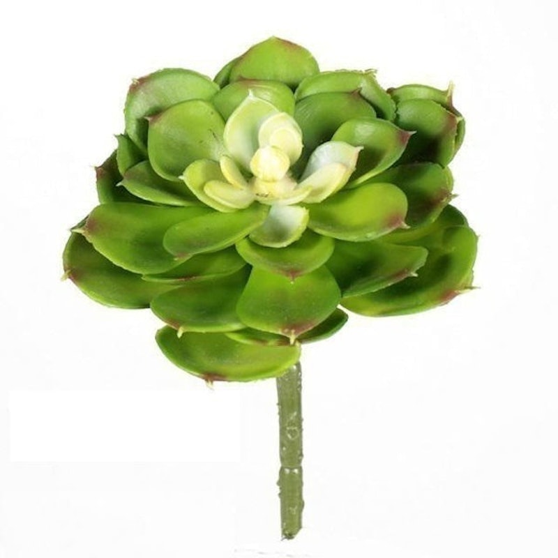 Suculenta Artificial Echeveria Melyana 1