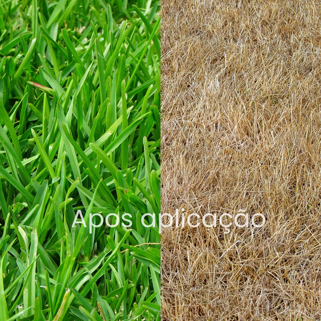 Termifin Glifosato Herbicida 3