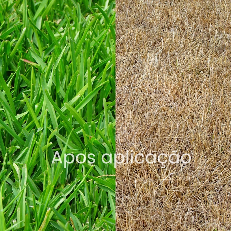Termifin Glifosato Herbicida 3