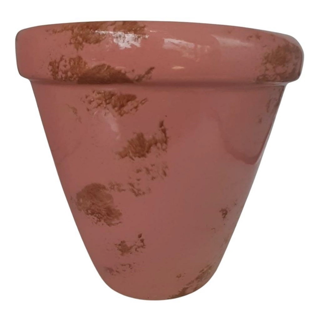 Vaso de Parede Verde Suspenso para Orquídeas 18 x 19 cm 3