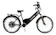 DUOS E-BIKE Duos Confort 1