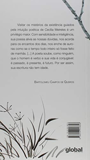 As Palavras Voam  2