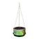 COQUIM Vaso Coquim N°17 Completo 1