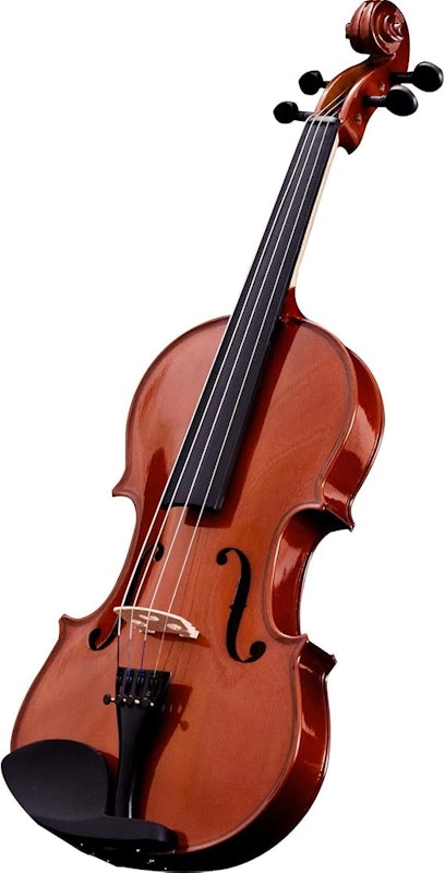 Violino VA-10 4/4 Natural 2