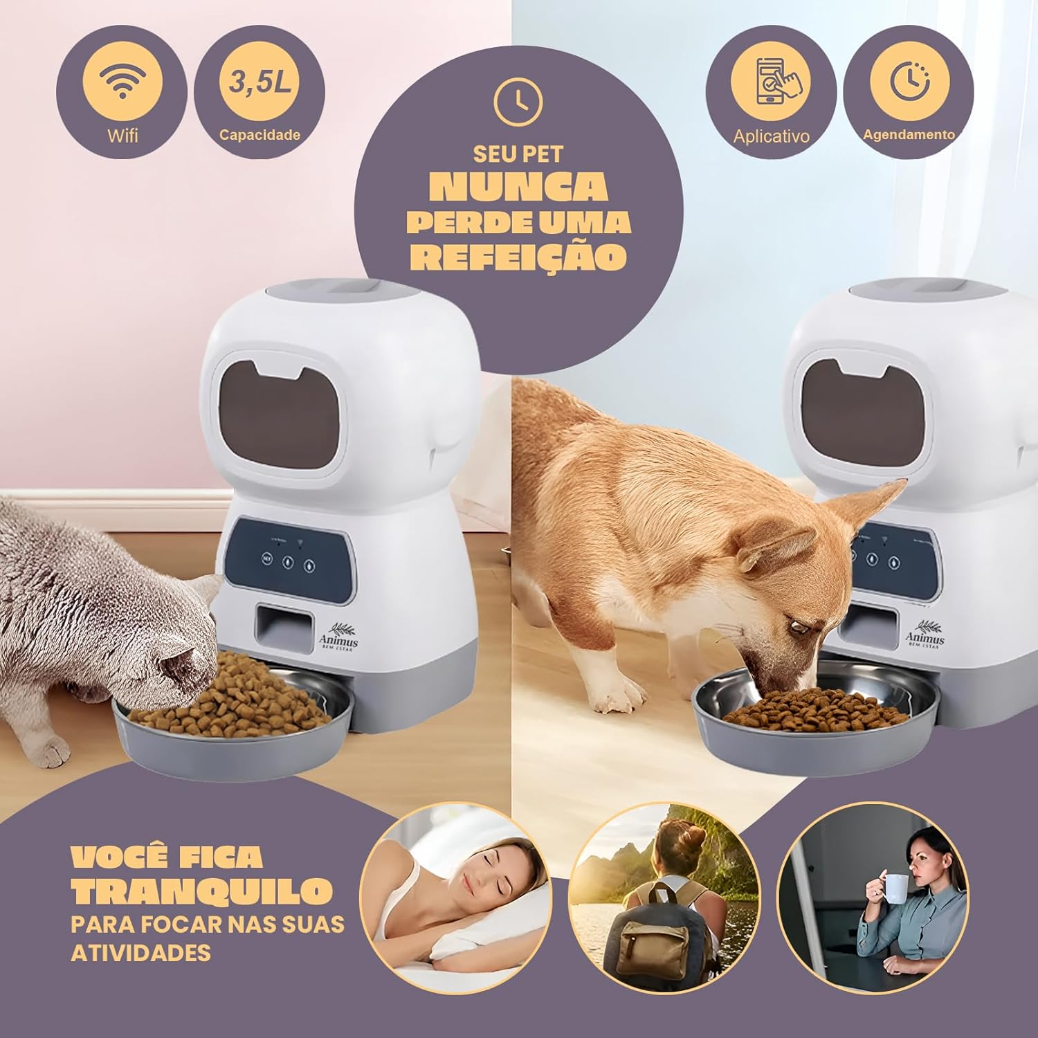 Alimentador Automático Smart Cães e Gatos 3