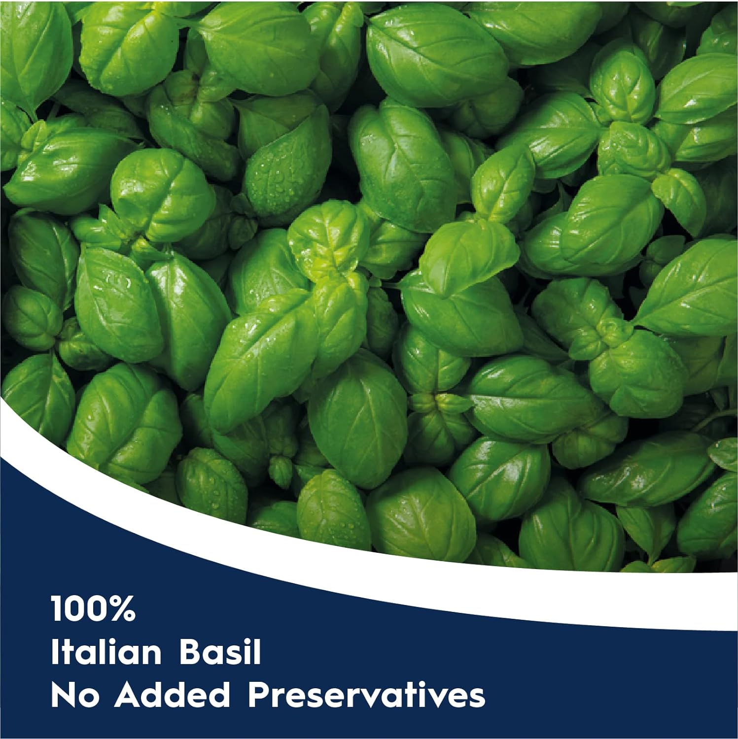 Pesto Alla Genovese  3