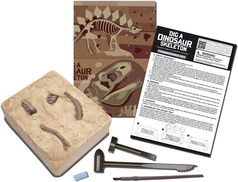 Dig a Dinosaur T-Rex Skeleton 4