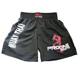 Top 10 Melhores Shorts de Muay Thai 5