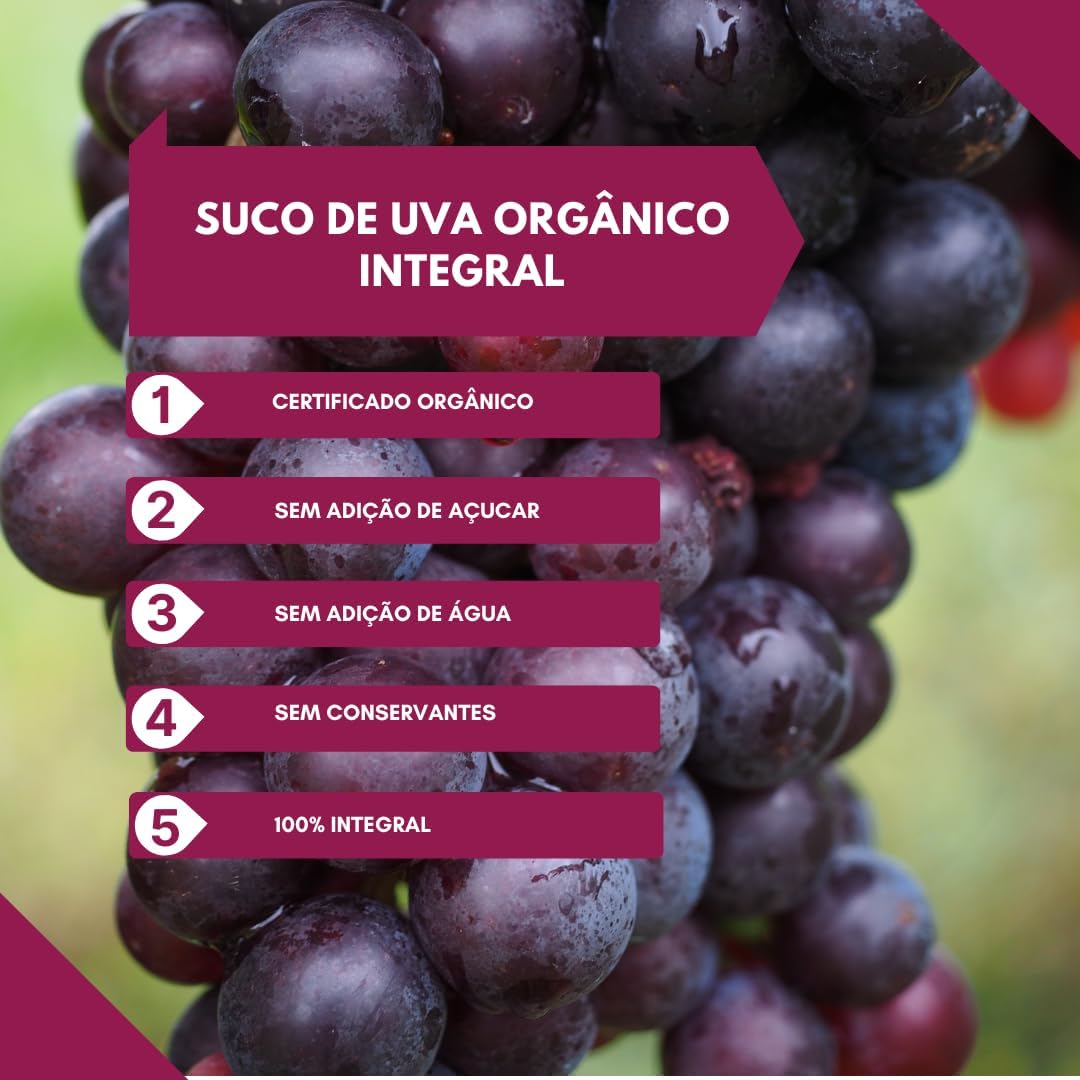 Suco de Uva Tinto Integral Uva Bordô 3