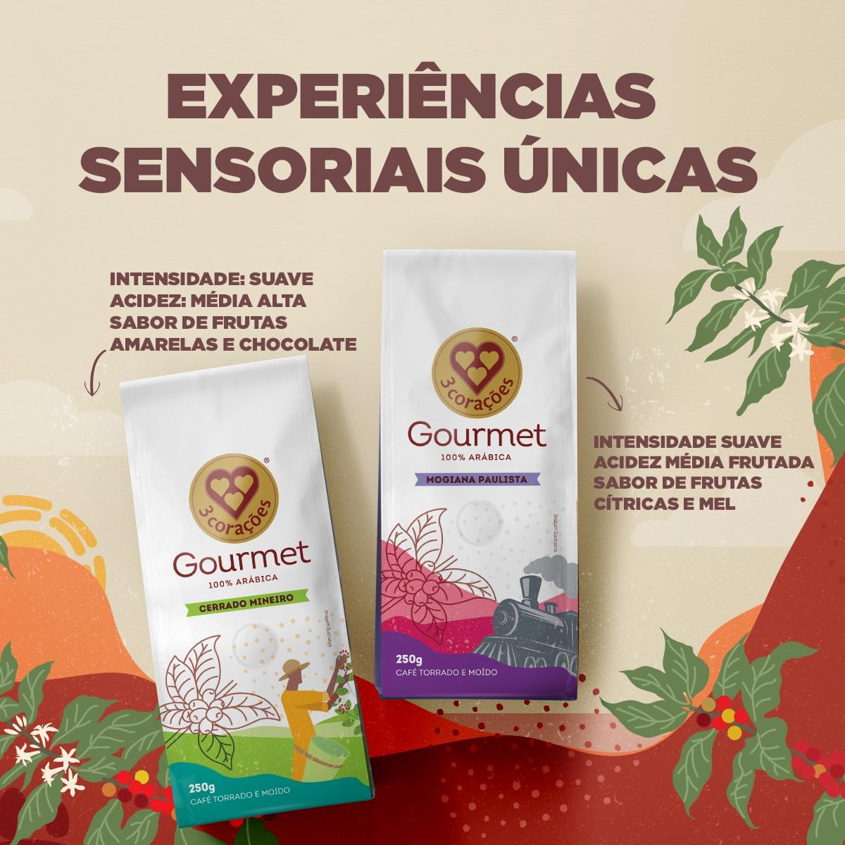 Kit Café Gourmet Torrado e Moído - Cerrado Mineiro e Mogiana Paulista 3