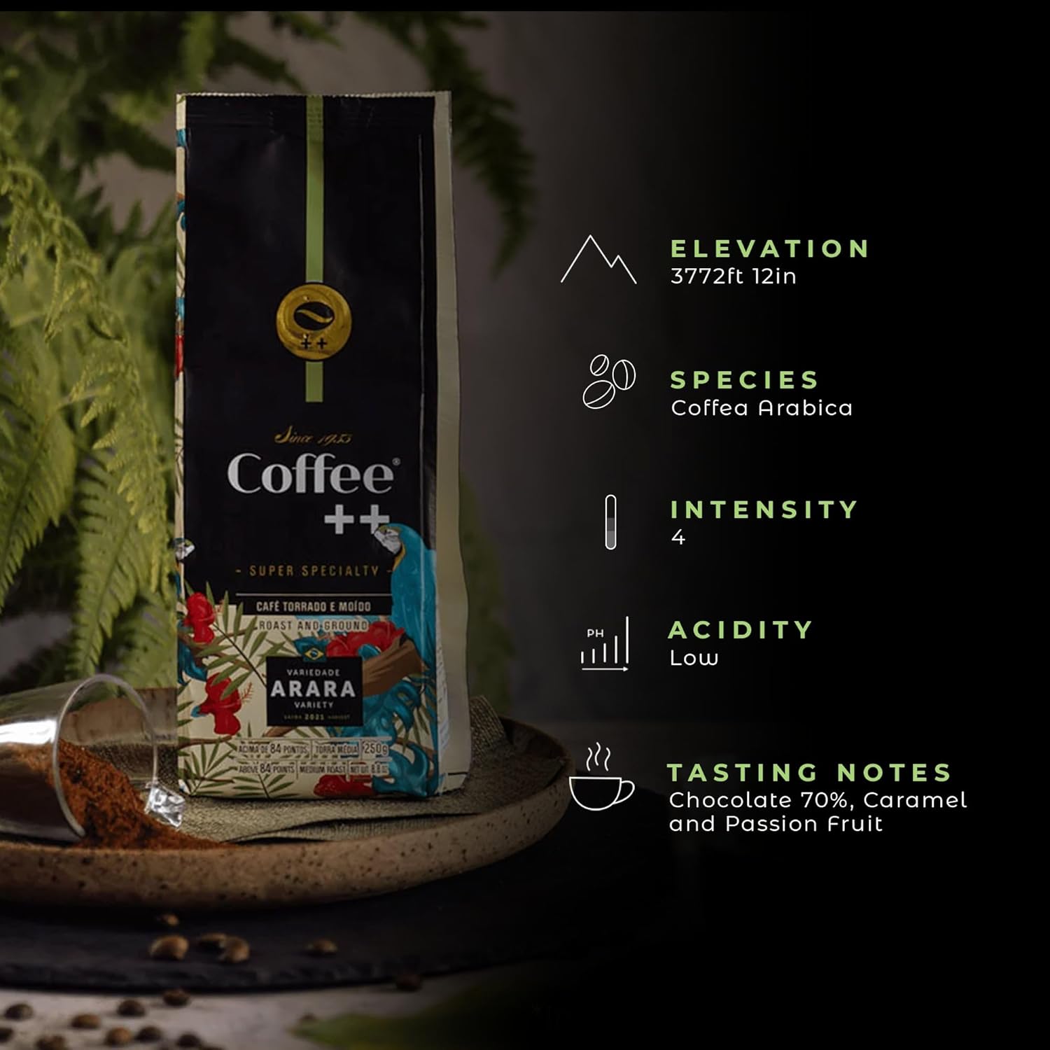 Café Arara Grãos 250 g 3