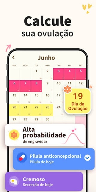 Calendário Menstrual, Período Fértil e Ovulação 4