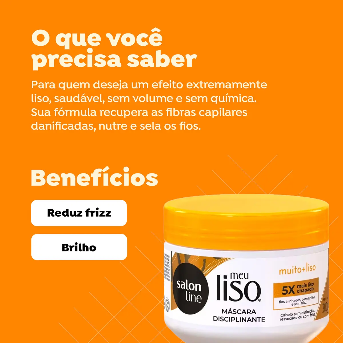 Máscara Hidratante Meu Liso Muito + Liso 3