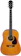 GIANNINI Violão Aço Eletroacústico Giannini Performance Plus GDR Plus EQ NG 1
