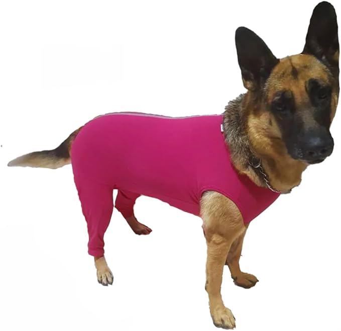 Top 10 Melhores Roupas Cirúrgicas para Cachorro em 2026 (Pet Med, Vani Pet e mais) 1