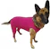VANI PET Roupa Protetora Pós-Cirúrgica para Cachorro 1