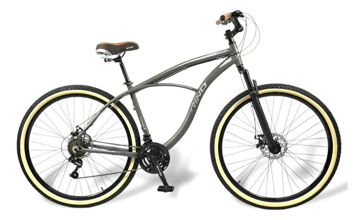 Bike Beach Aro 29 Rino 1