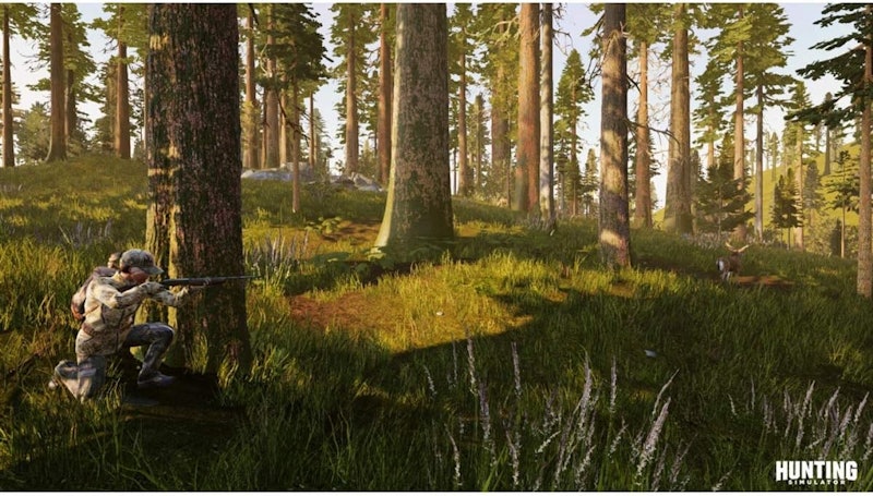 Hunting Simulator (2017) 3