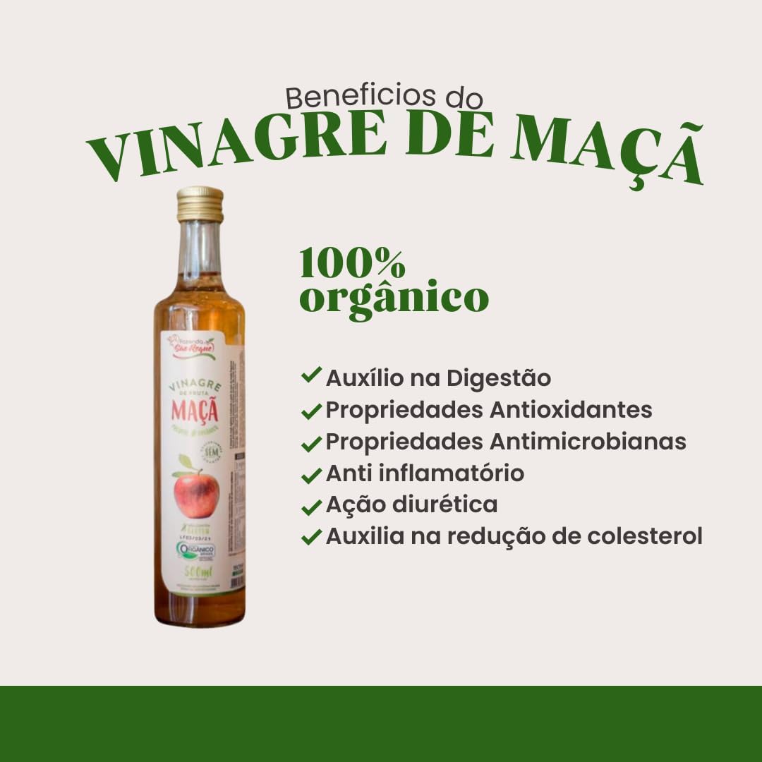 Vinagre de Maçã Orgânico 500 ml 2