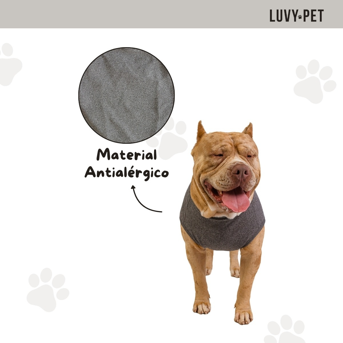 Roupa Pet Cães Porte Grande Grafite 3