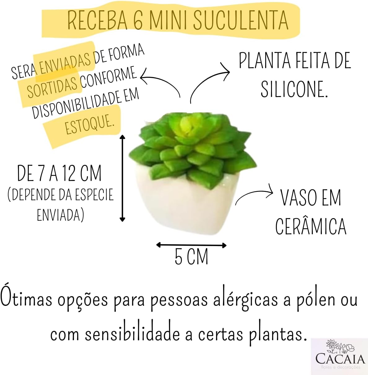 Conjunto com 6 Vasos de Cerâmica e Mini Suculentas Artificiais  3