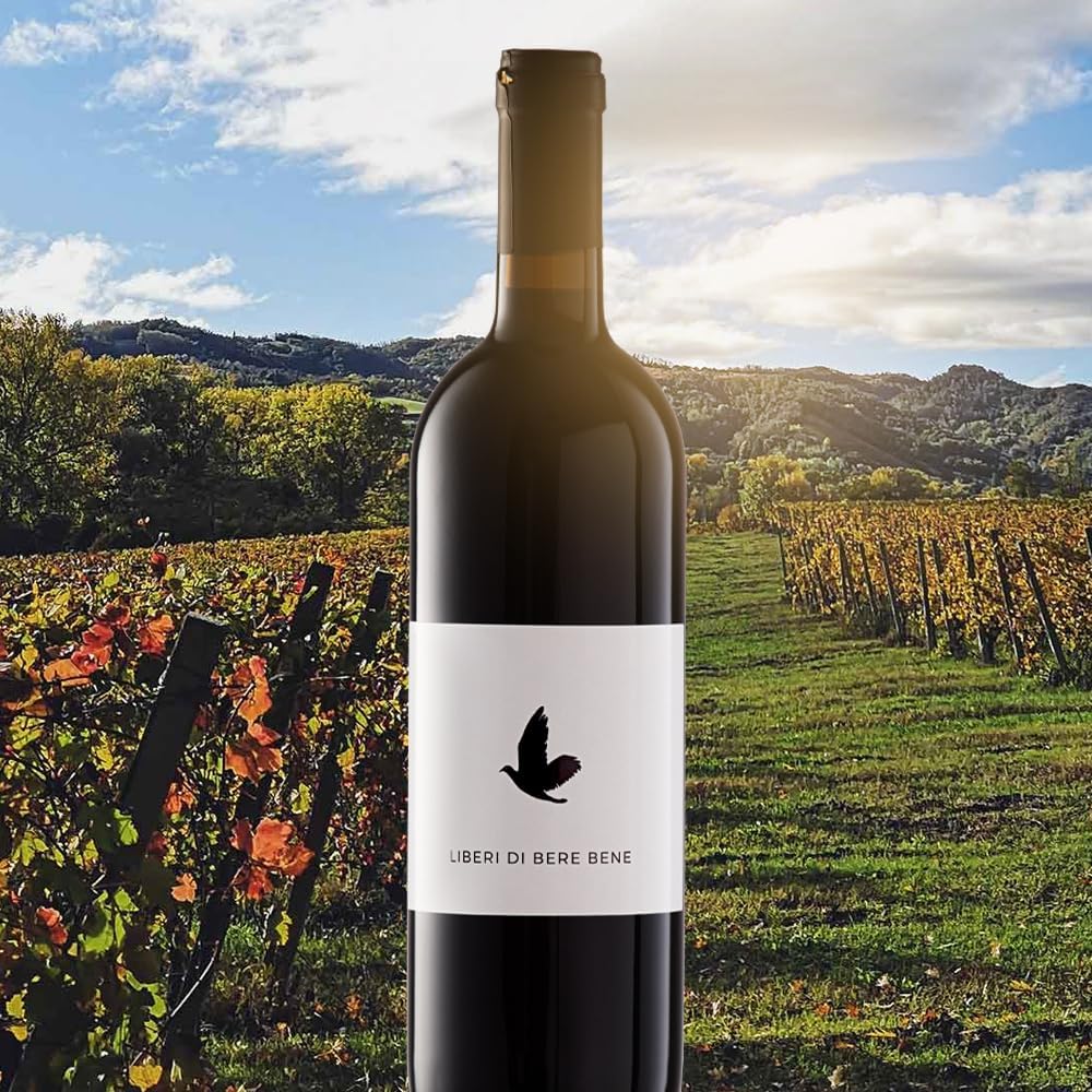 Vinho Tinto Italiano  2