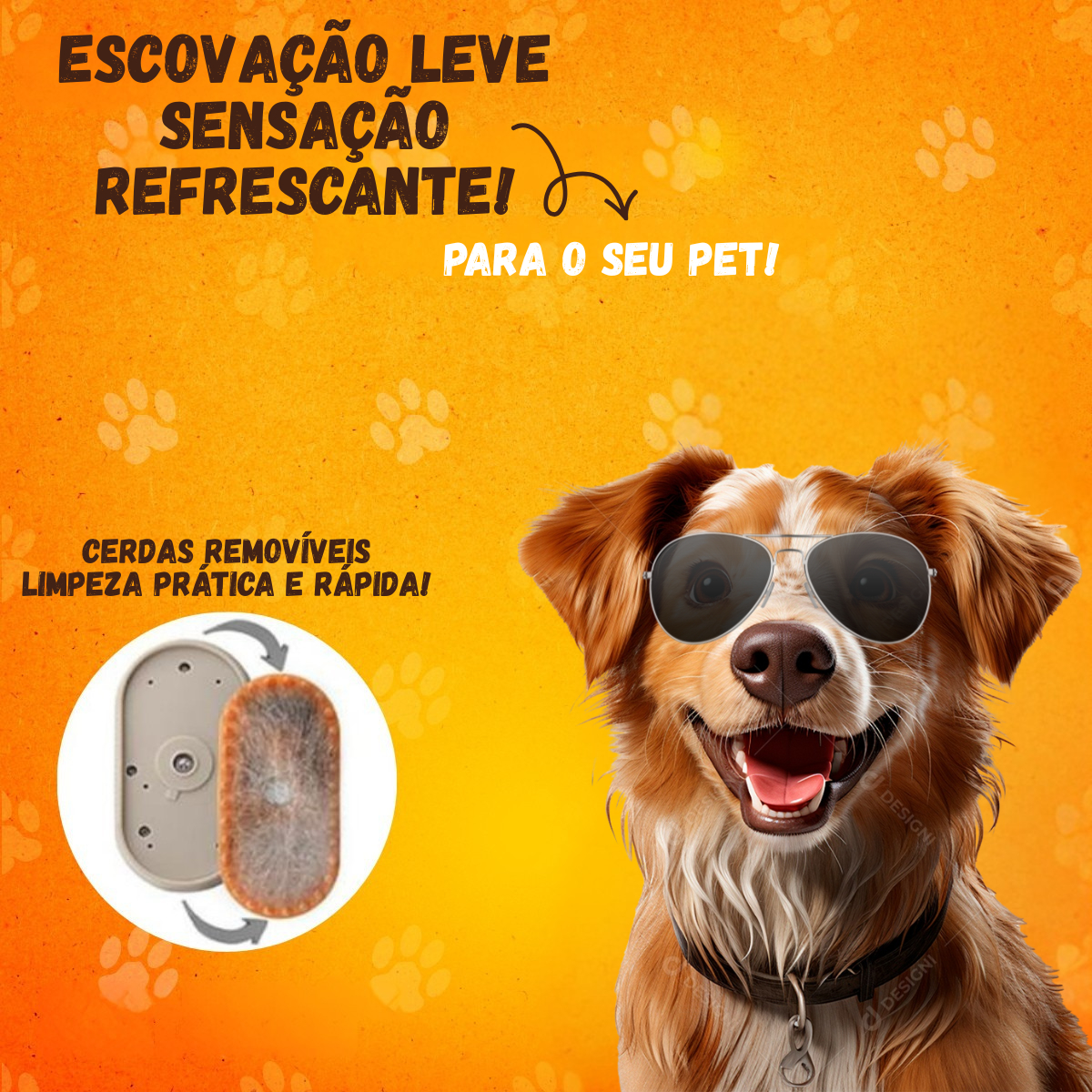 Escova Pet Premium Elétrica 3 em 1 3